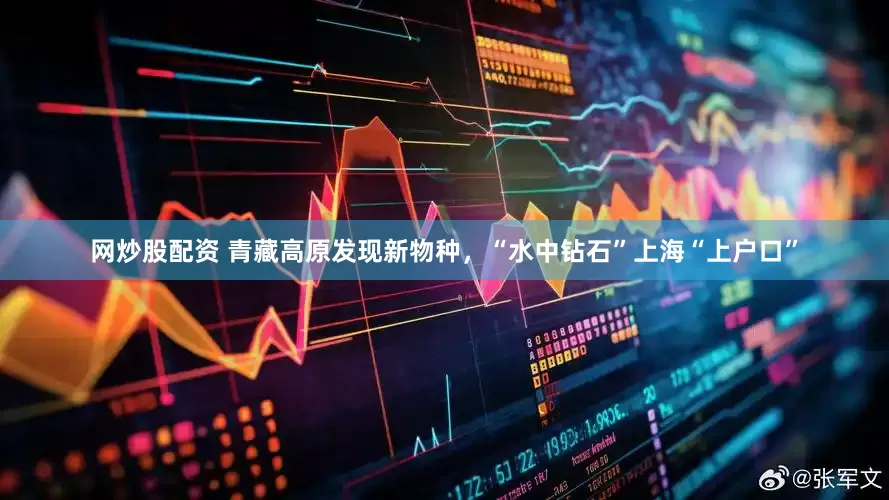 网炒股配资 青藏高原发现新物种，“水中钻石”上海“上户口”